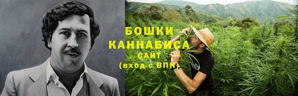 бошки Аркадак
